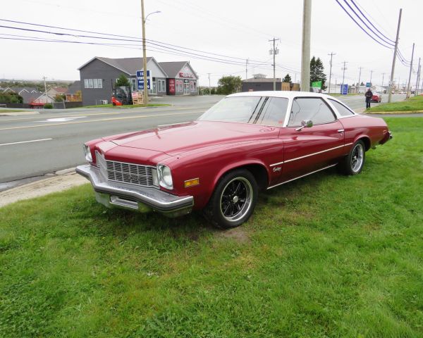 1975 Other buick century