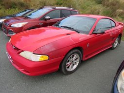 Derek Piccott Auto Sales : 2003 Ford